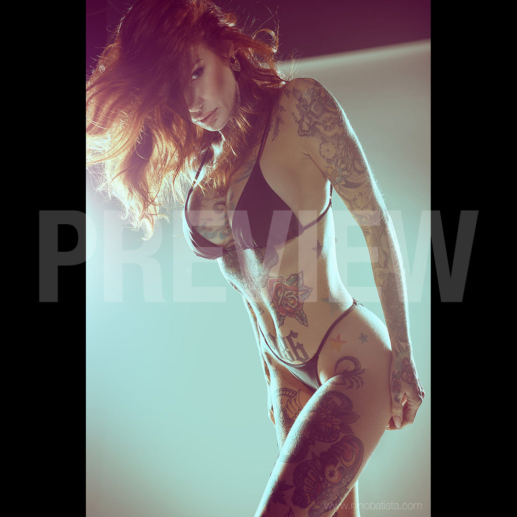 Lindsey Taylor Tierney: Studio Colour by Nino Batista