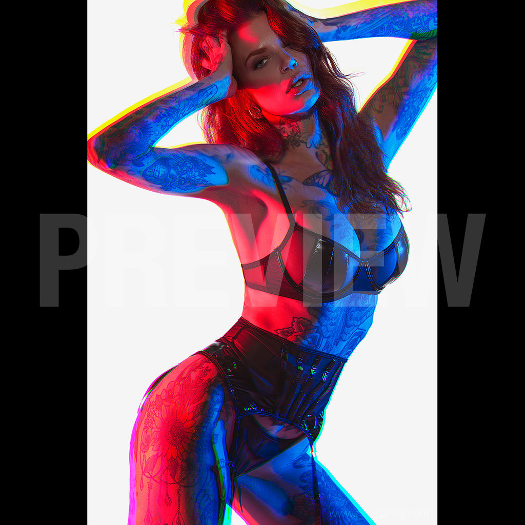 Lindsey Taylor Tierney: Studio Colour by Nino Batista