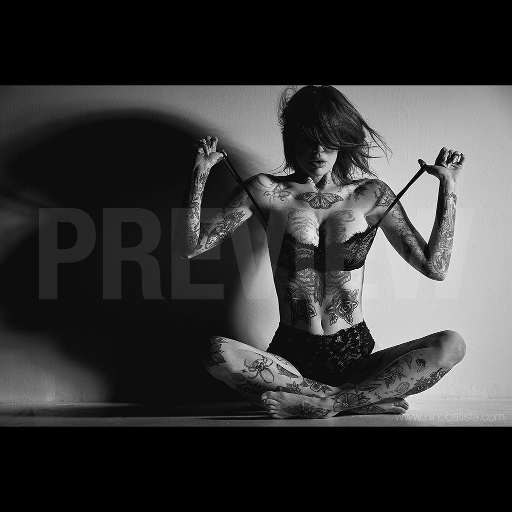 Lindsey Taylor Tierney: Studio Shadows