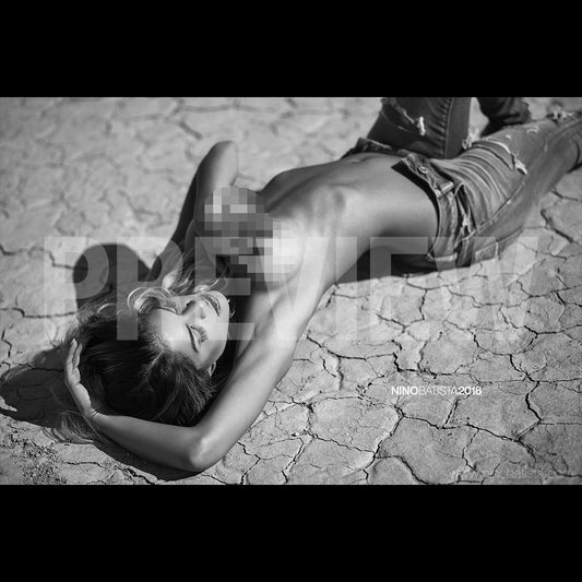 Alessandra Sironi Collection by Nino Batista