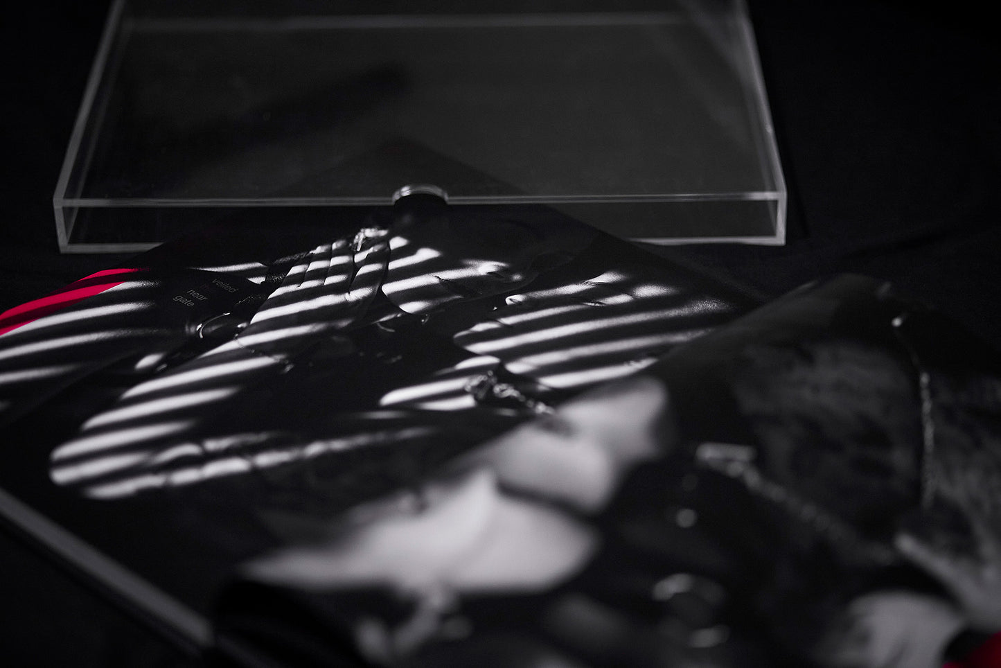 Veladura: An exploration in eroticism and evolution.