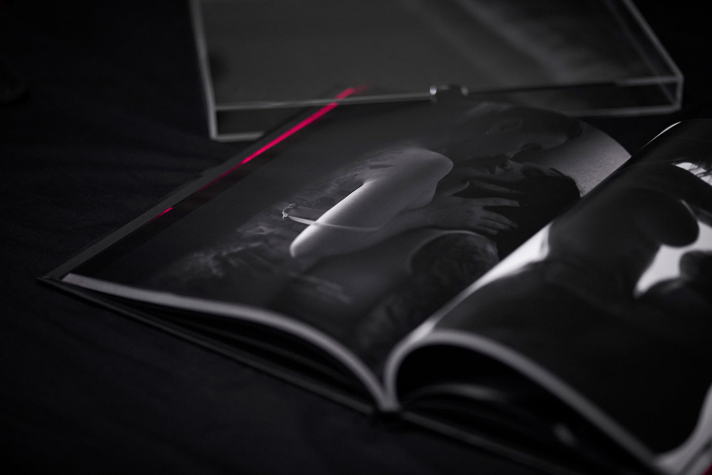 Veladura: An exploration in eroticism and evolution.